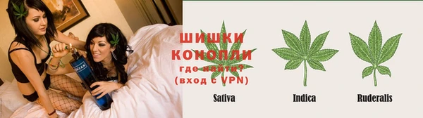 мяу мяу мука Богданович