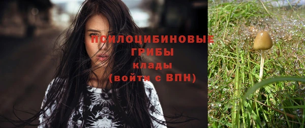 мяу мяу мука Богданович