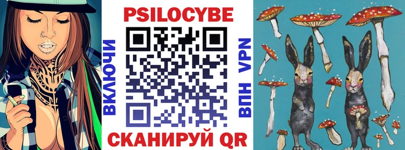 Галлюциногенные грибы Psilocybe купить наркотик кракен онион Братск